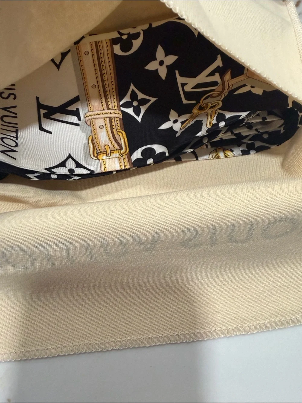 Louis Vuitton luxury louis